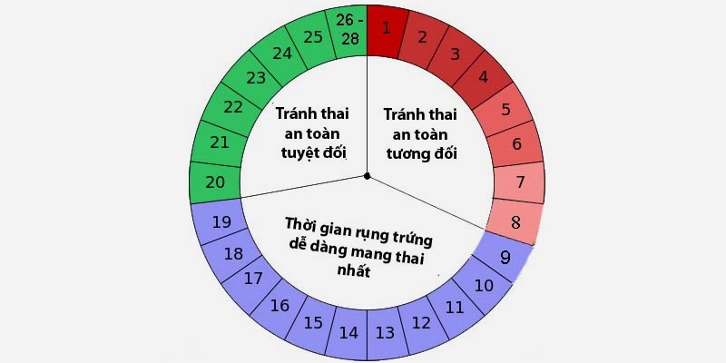 Mô phỏng ngày an toàn trong chu kỳ kinh để quan hệ tình dục