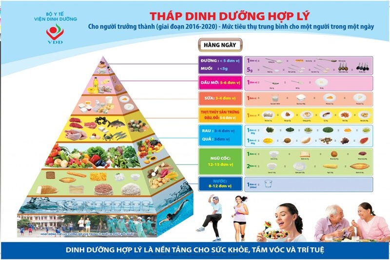 Tháp dinh dưỡng cân đối