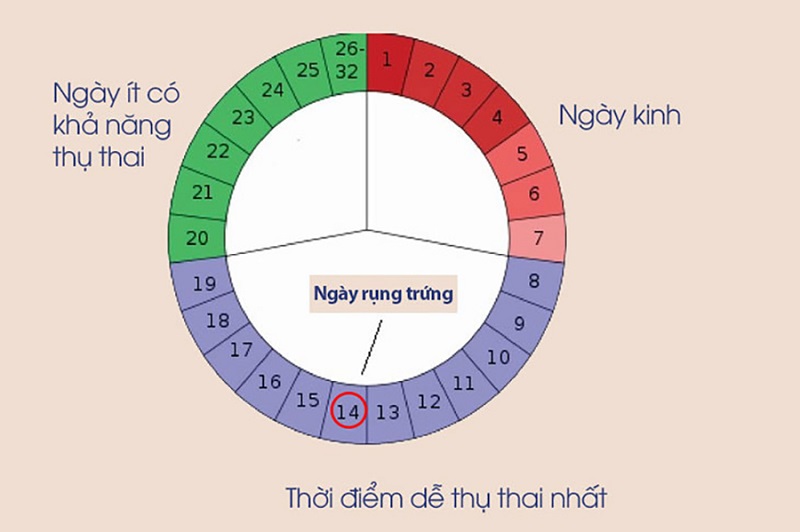 Tính ngày an toàn dựa trên chu kỳ kinh để tránh thai được nhiều chị em lựa chọn