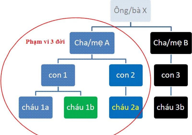 Kết hôn giữa những người cùng dòng máu trong phạm vi 3 đời trở lại gọi là hôn nhân cận huyết