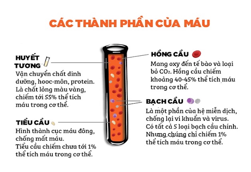 Các thành phần của máu và nhiệm vụ của chúng đối với cơ thể