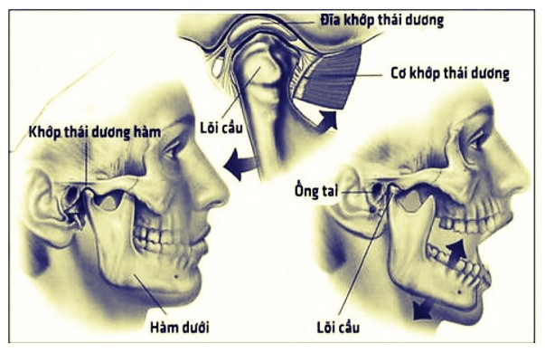 Hình ảnh khớp thái dương hàm