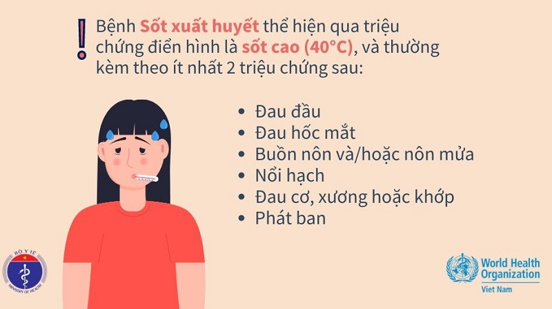 Một số triệu chứng gợi ý giảm tiểu cầu sốt xuất huyết