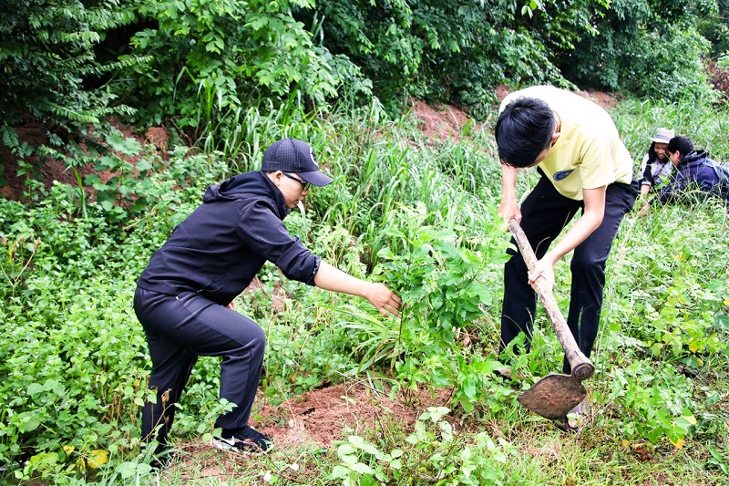 Phát quang bụi rậm quanh nhà, dọn sạch cỏ dại giúp tránh xa nguyên nhân gây sốt mò