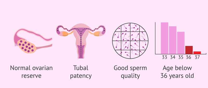 Những đối tượng nào có thể sử dụng phương pháp IUI