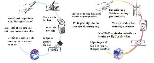 xét nghiệm ThinPrep Pap phát hiện sớm ung thư cổ tử cung