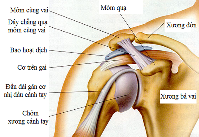 chụp MRI khớp vai