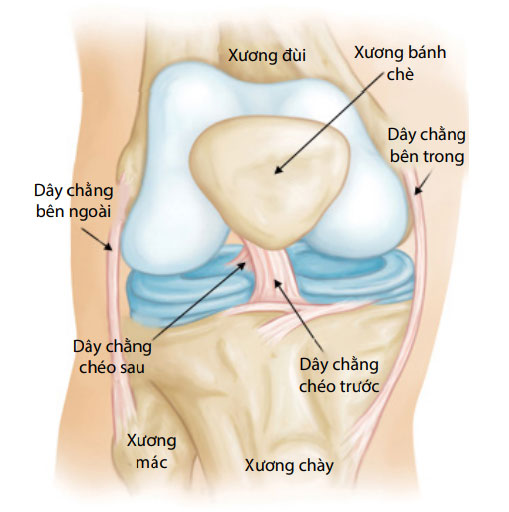 chấn thương gối