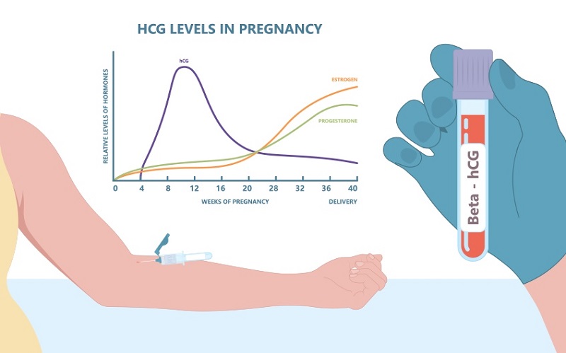 Mô phỏng quá trình lấy mẫu máu xét nghiệm beta HCG