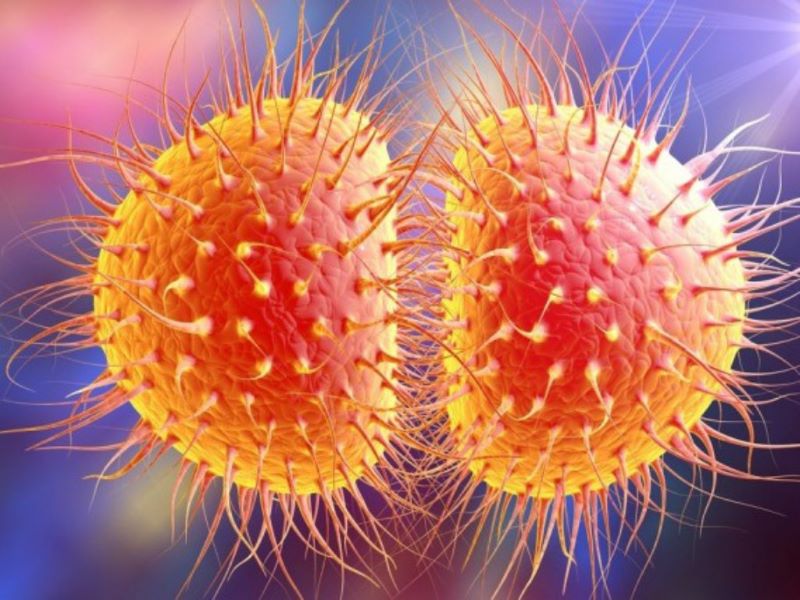 Vi khuẩn Neisseria Gonorrhoeae là tác nhân gây ra bệnh lậu