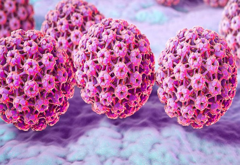 Có nhiều chủng virus HPV