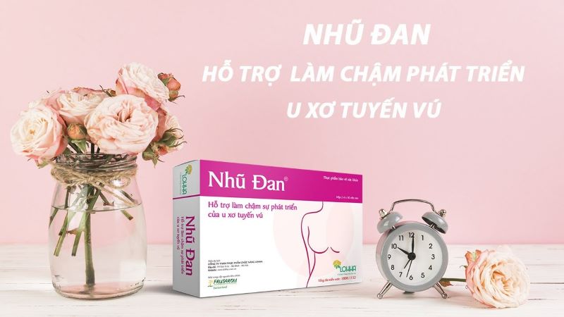 Nhũ đan là thực phẩm thường được sử dụng với người bị u lành tuyến vú