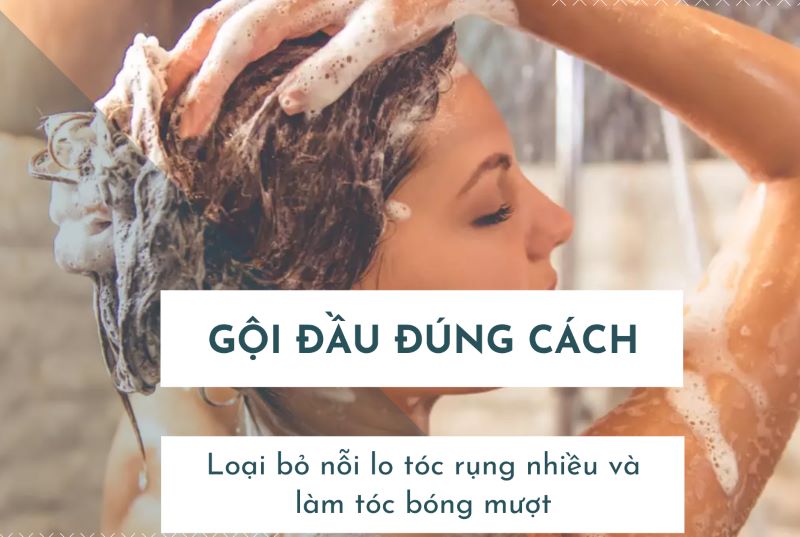 Gội đầu đúng cách sẽ giúp tóc óng mượt, cải thiện hiệu quả tình trạng gãy rụng