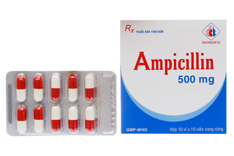 Thuốc Ampicillin 500mg viên nang cứng