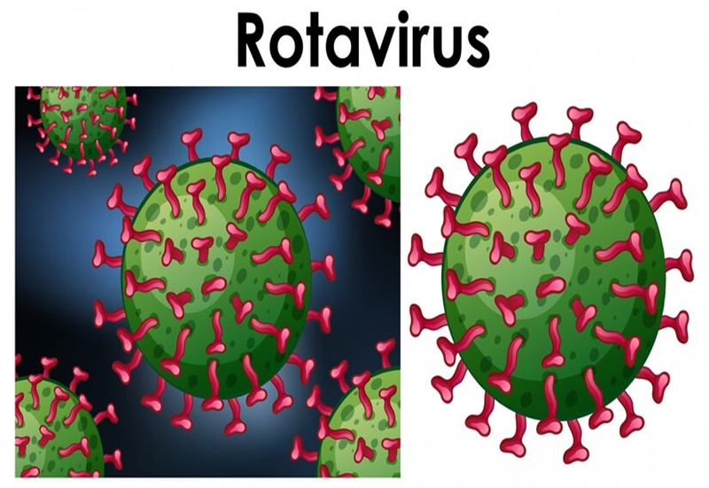 Virus Rota là nguyên nhân gây tiêu chảy phổ biến